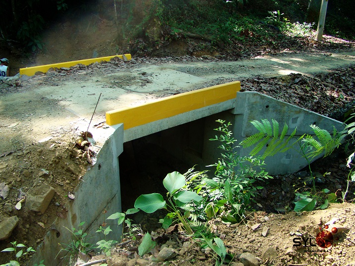 Puentes de Paso SYL Ingenieria