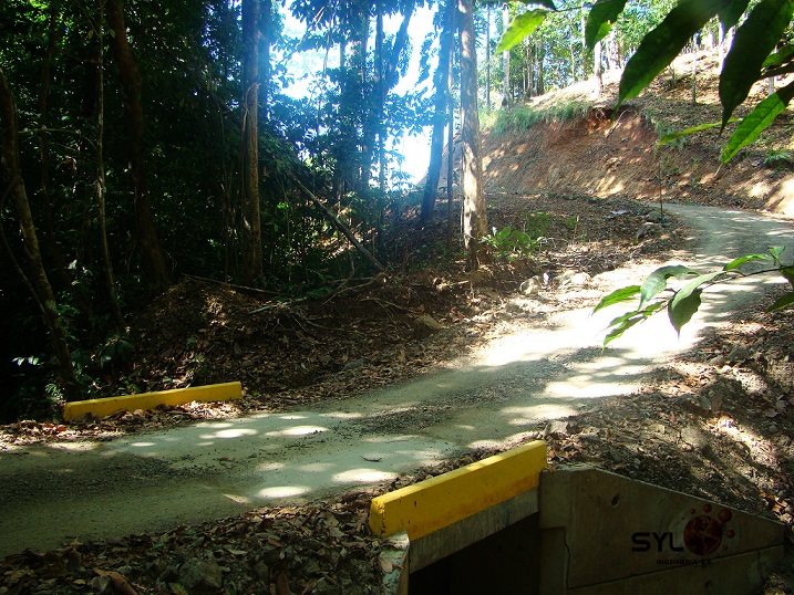 Puentes de Paso SYL Ingenieria