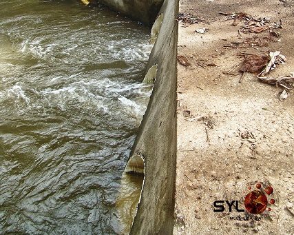 Cabezales y Puentes7